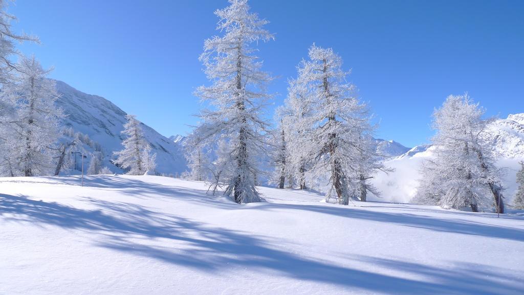 Berggasthaus Wasenalp Brig Zewnętrze zdjęcie